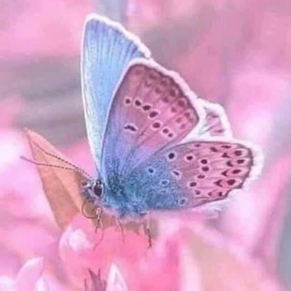 About Me - Picture 12 of 12